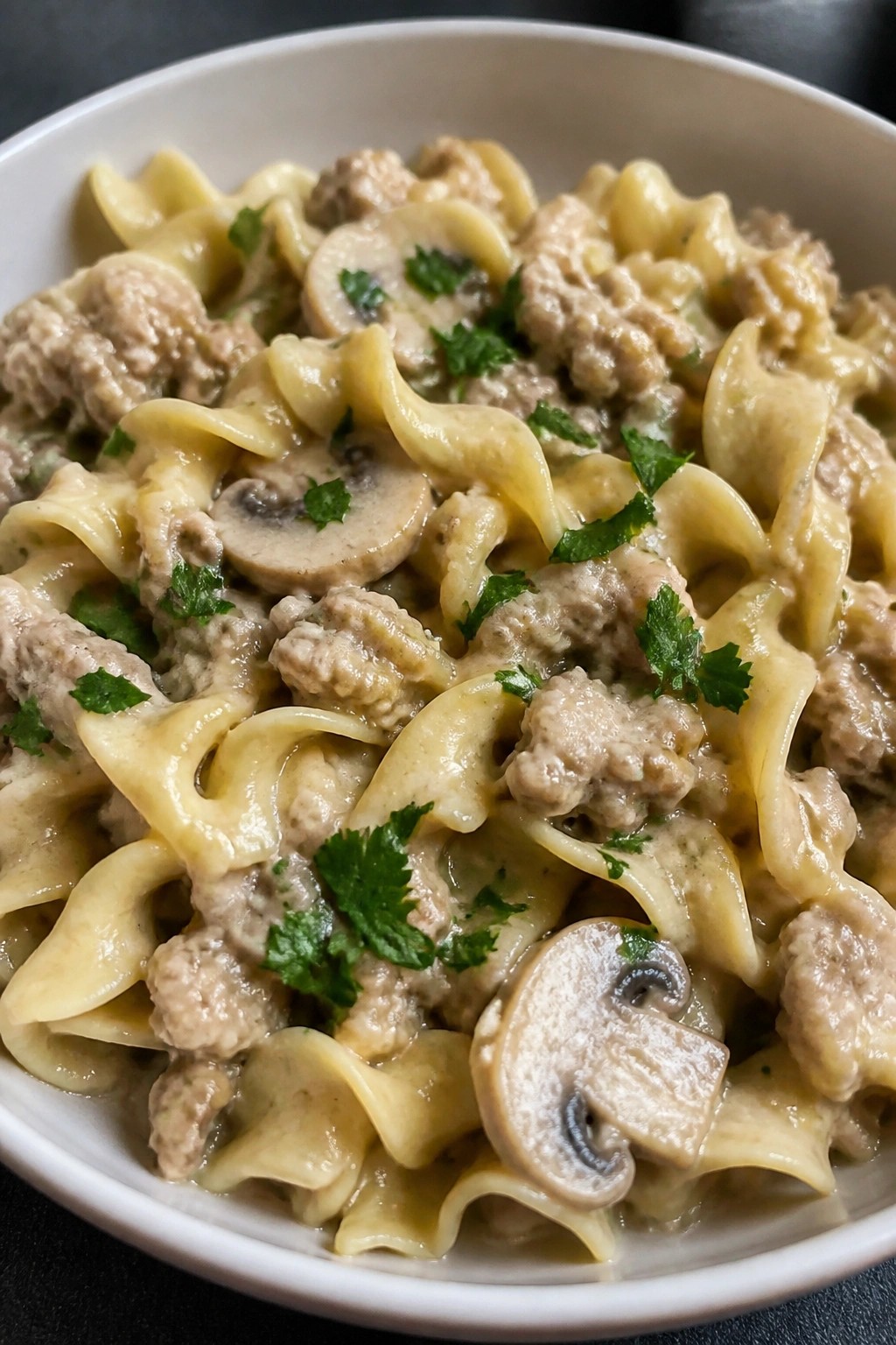 Quick Turkey Stroganoff with Egg Noodles