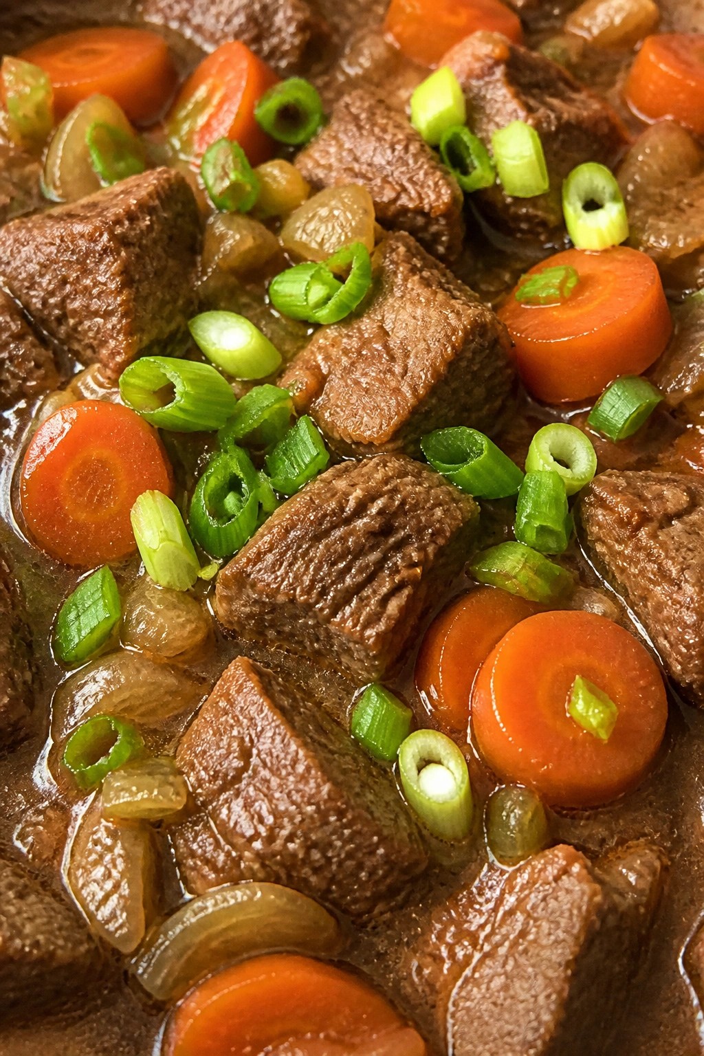 Ginger Soy Beef Stew with Carrots and Scallions