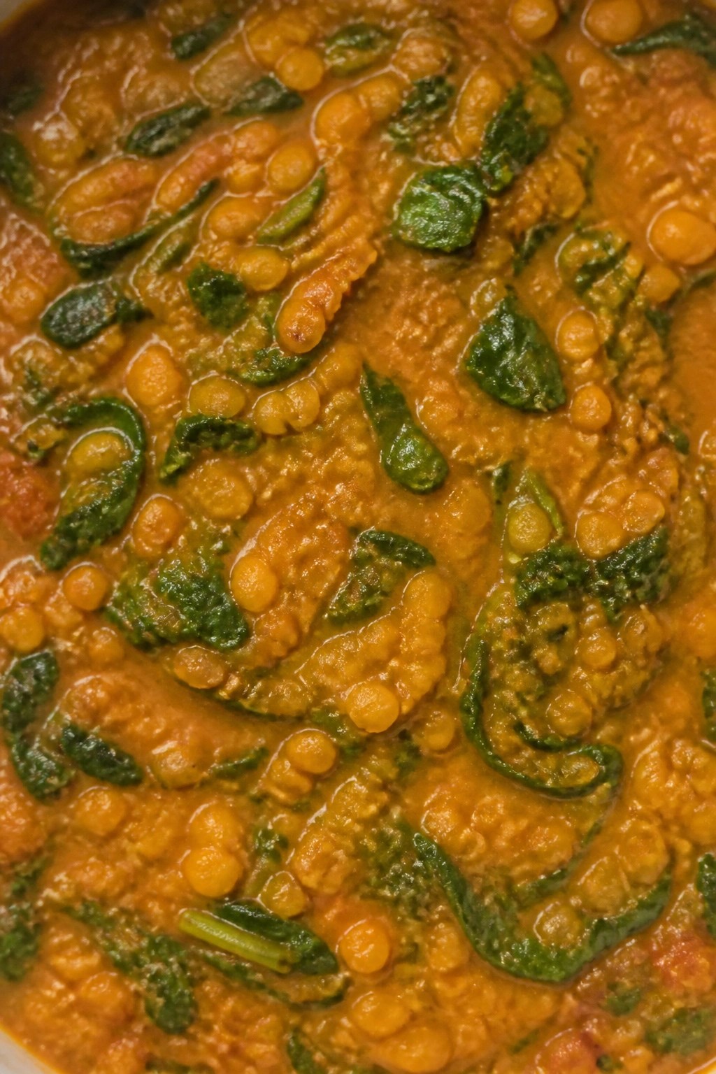 Indian Red Lentil and Spinach Dal Stew