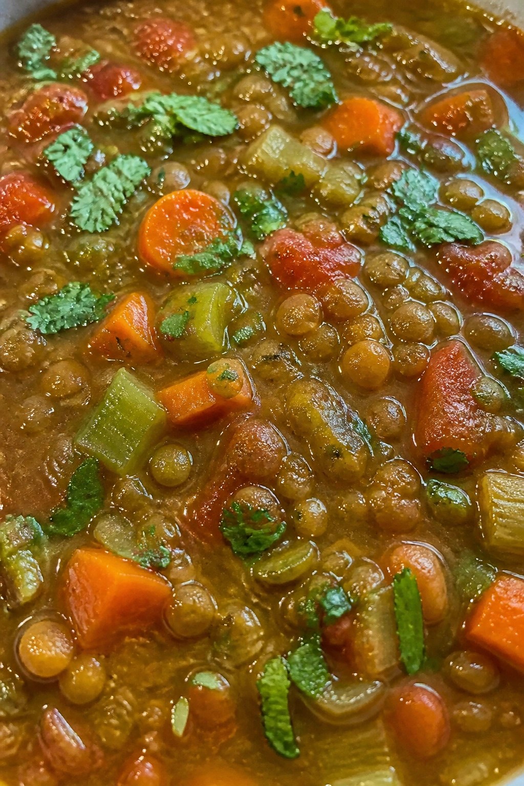 Spiced Lentil Vegetable Soup