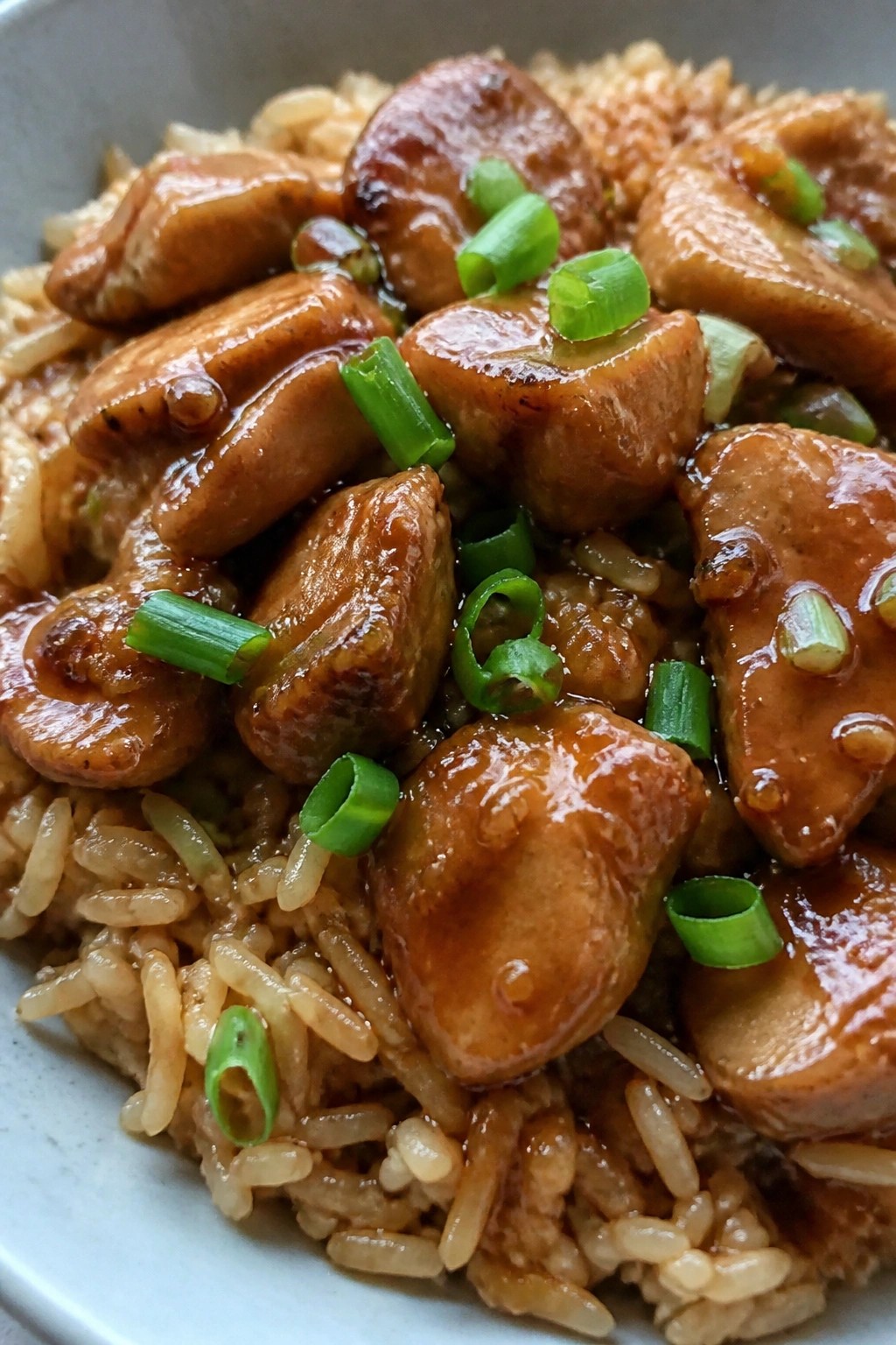 Slow Cooker Honey Garlic Chicken Thighs with Rice