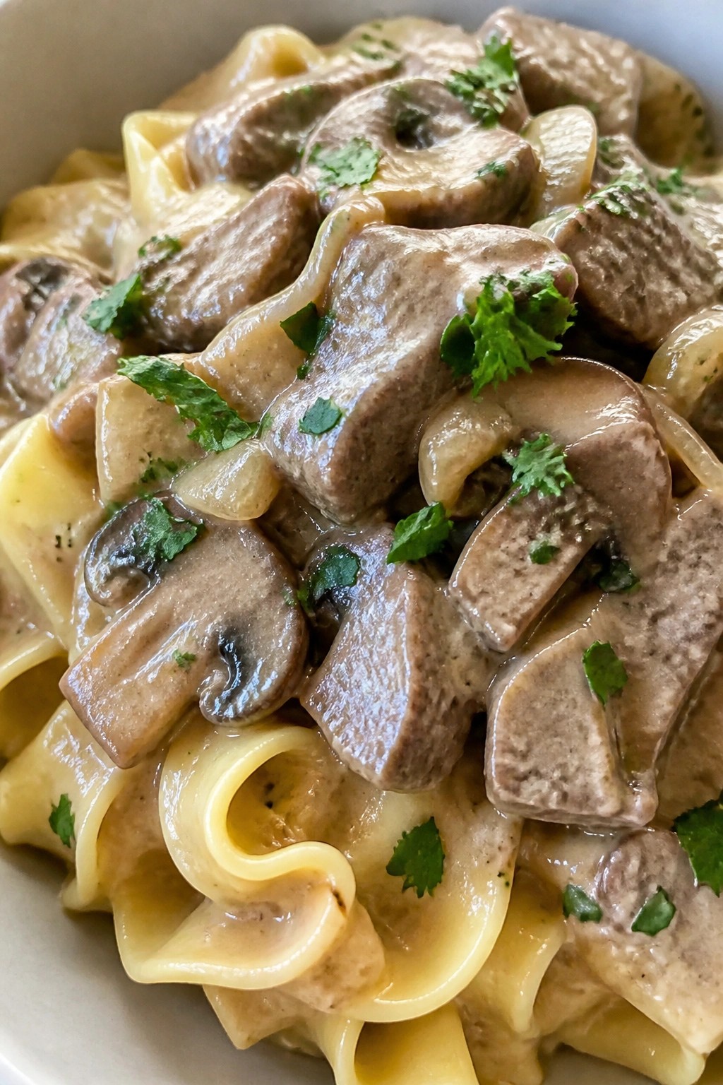 Slow Cooker Beef Stroganoff with Wide Egg Noodles