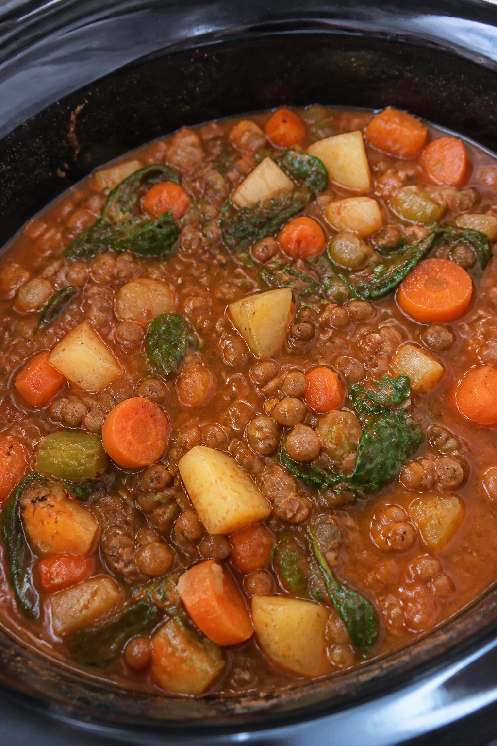 Hearty Crockpot Lentil Vegetable Stew