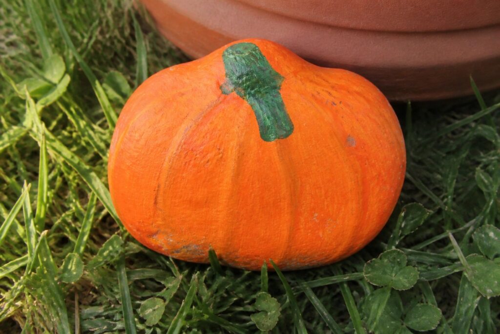 18 Clever Painted Garden Rock Ideas to Add Autumn Charm Outdoors Orange pumpkin-painted rock with green stem on grass by terracotta pot