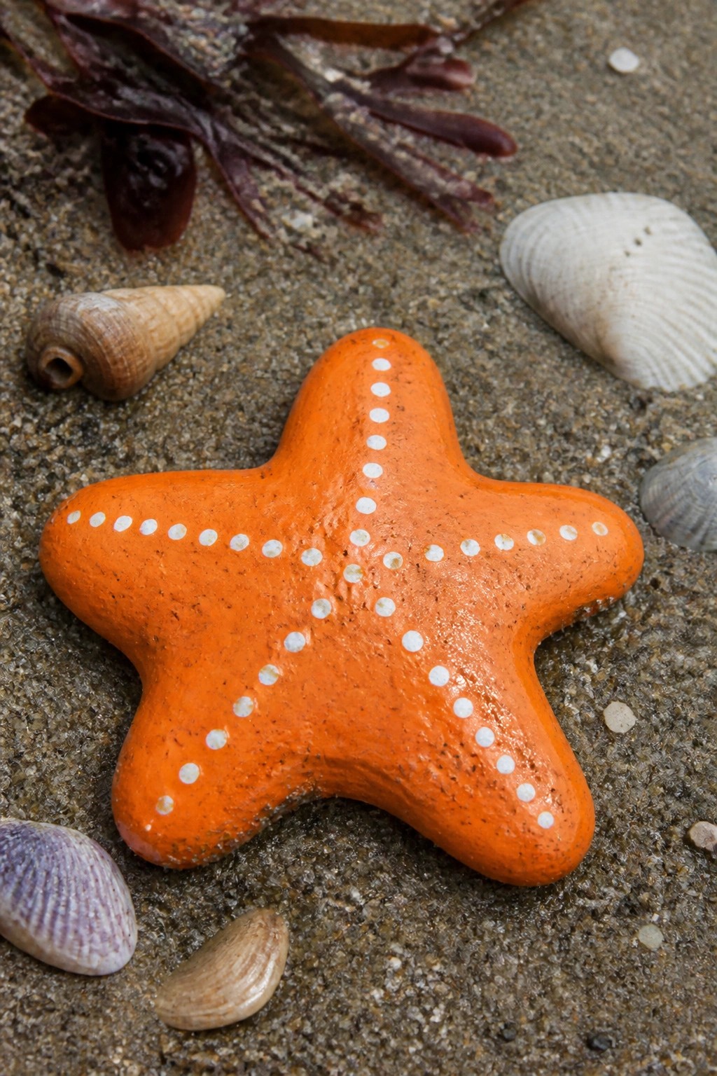 Orange starfish with white dots on sand amid seashells and seaweed.