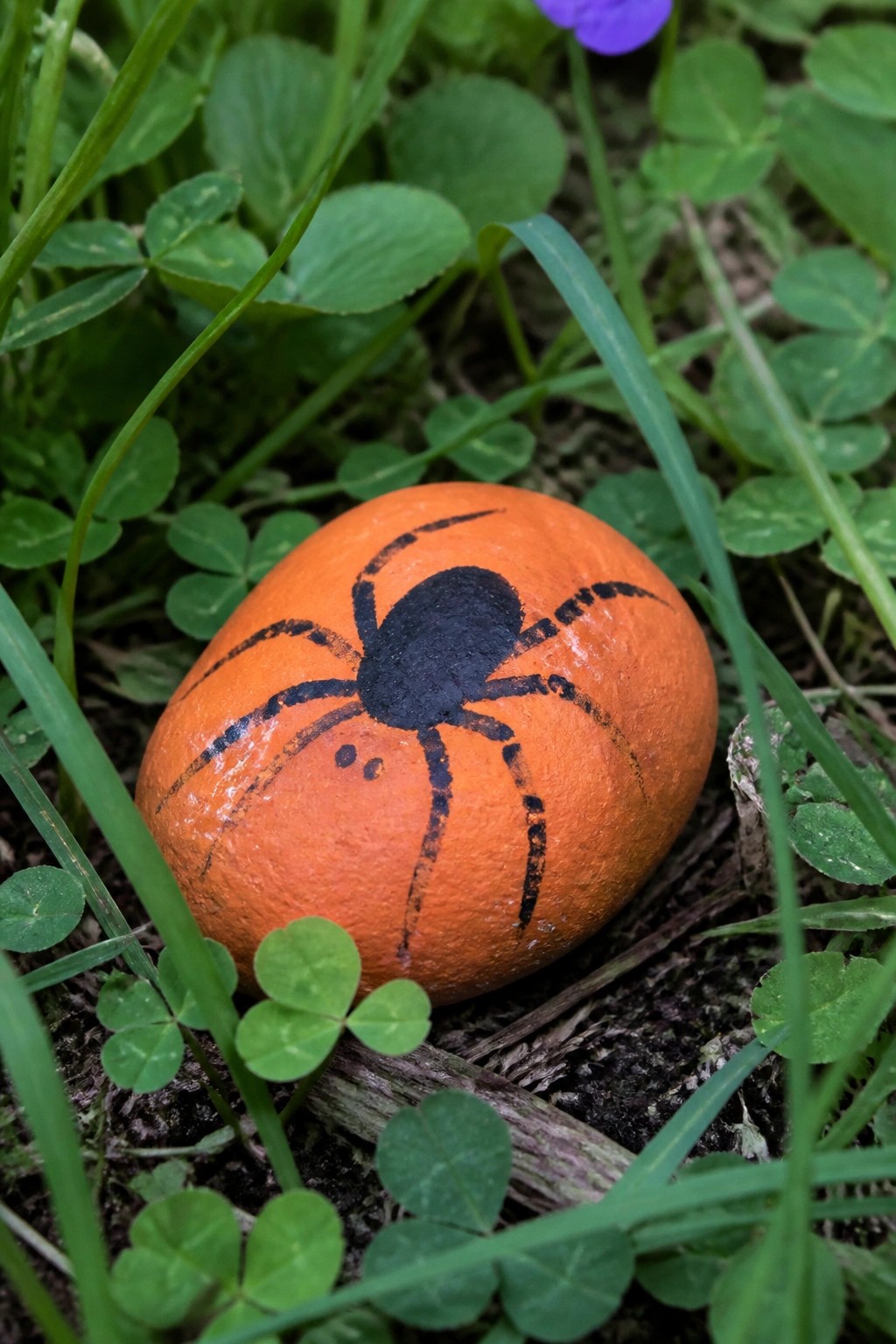 Orange painted rock with black spider design resting on soil among green clover and grass.
