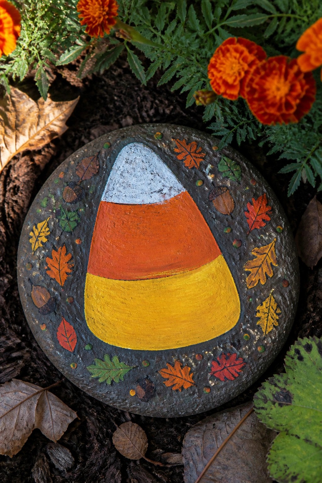 Painted candy corn rock with autumn leaf and acorn border among flowers