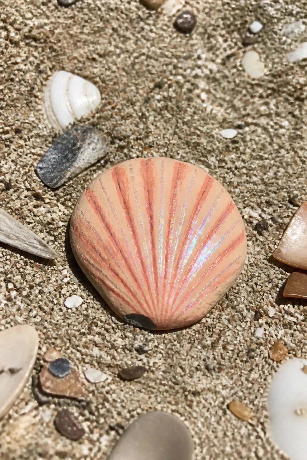 A round peach-colored rock with red radiating lines sits on sand among other shells and pebbles.