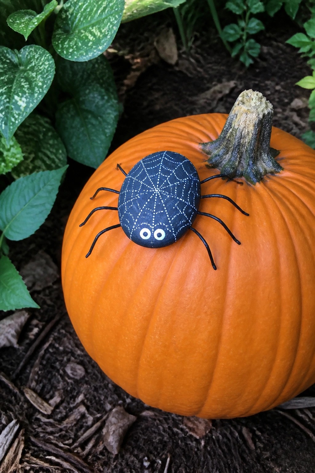 Black rock spider with web design and legs on orange pumpkin amid leaves
