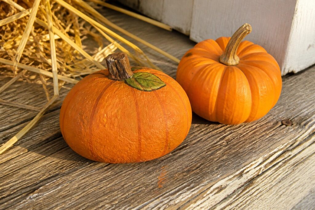 20 Cozy Autumn Painted Stone Ideas for Front Porch and Entryway Decor Two painted orange pumpkins on wood beside hay bale in golden sunlight
