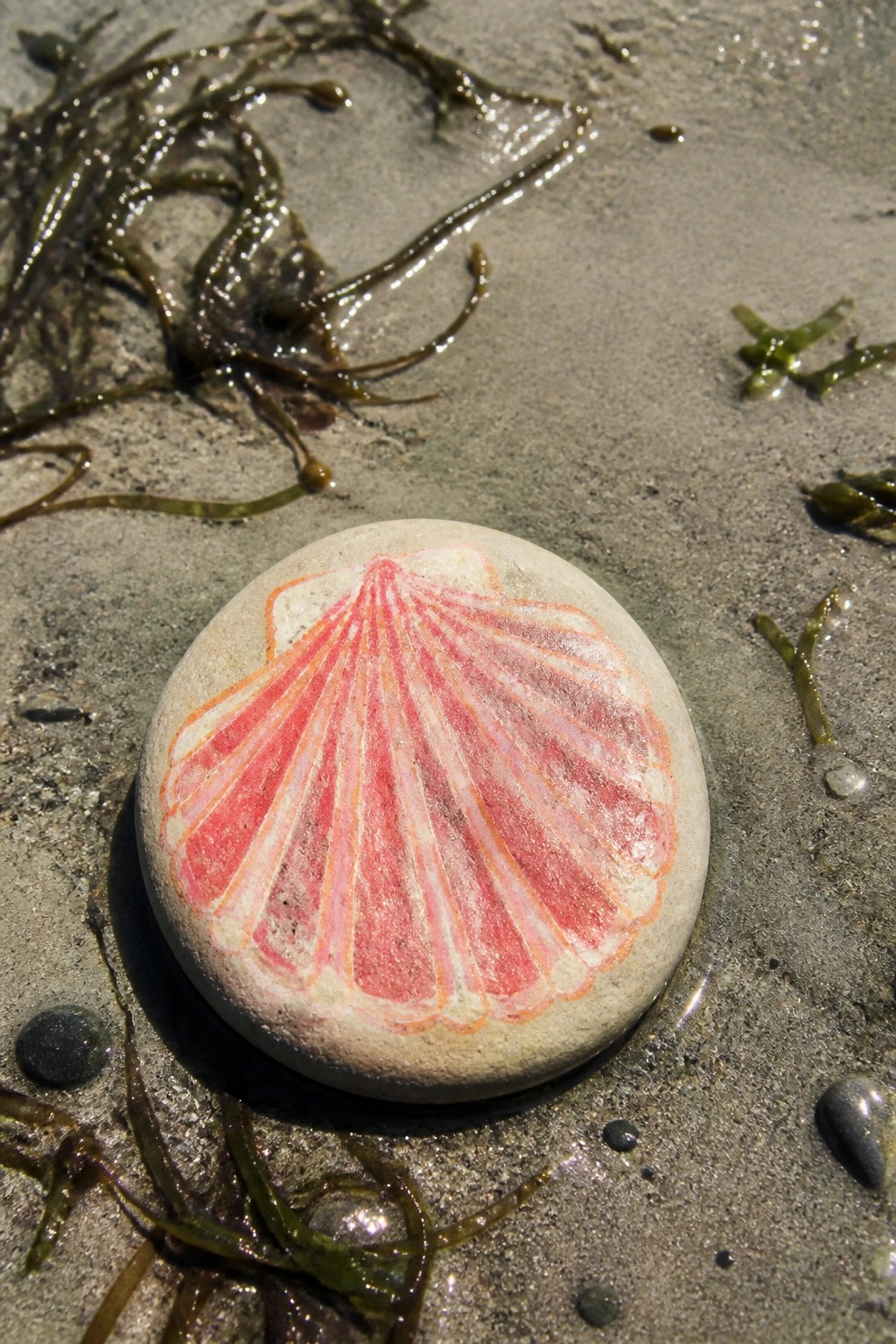 Round stone with pink-orange seashell painting on wet sand amid seaweed.