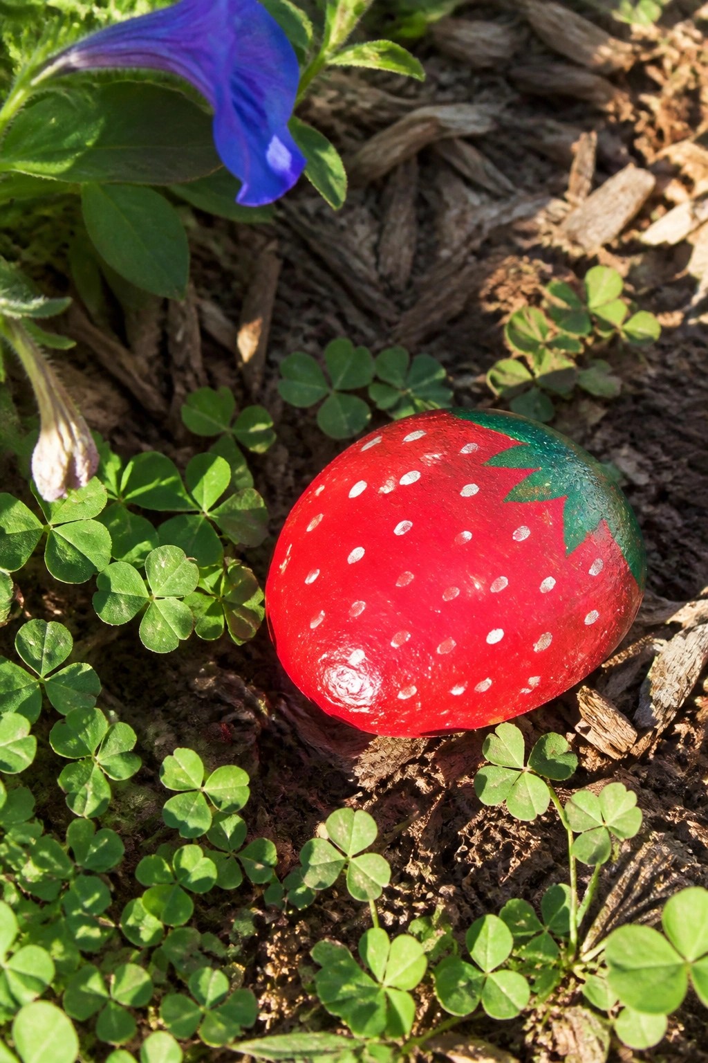 Red painted strawberry rock with white dots amid green clover and blue flower.