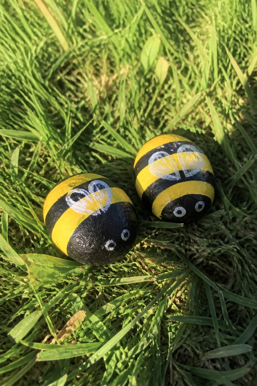 Two painted rocks with yellow and black stripes, white wings, and eyes rest on green grass.