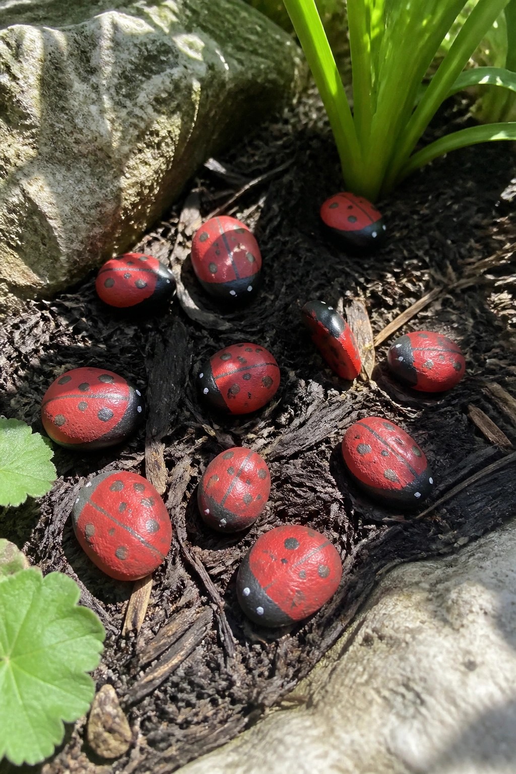 Small rounded stones painted red with black spots and heads to look like ladybugs sit among soil, mulch, and plants in a garden.