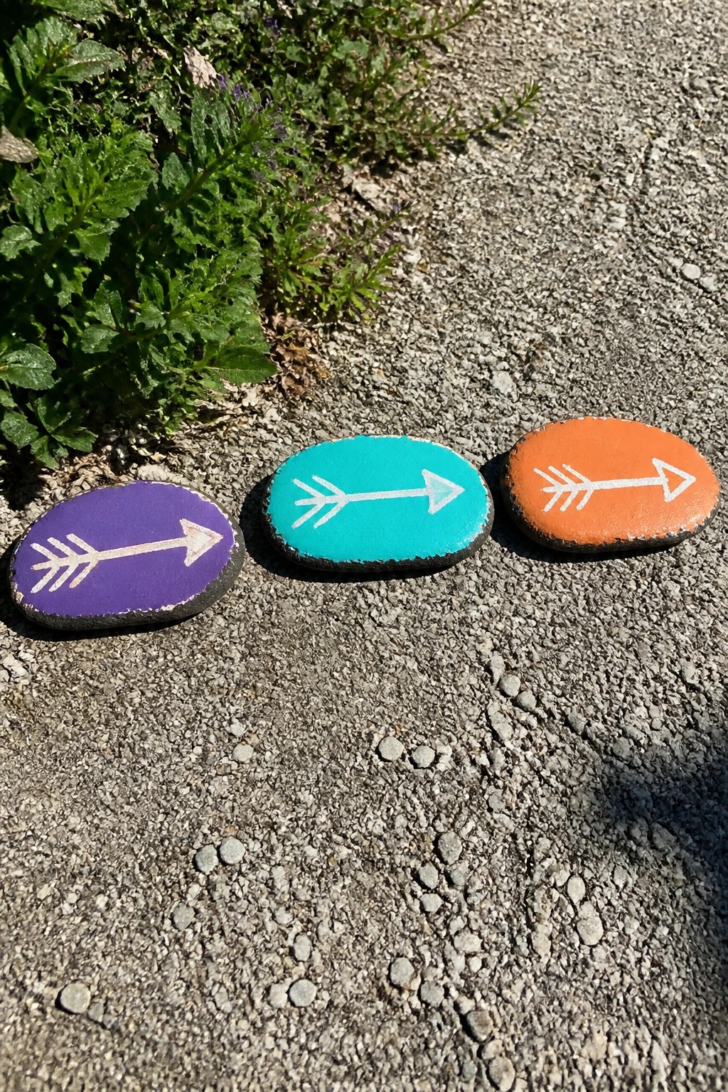 Three painted rocks with white arrows on gravel beside green plants