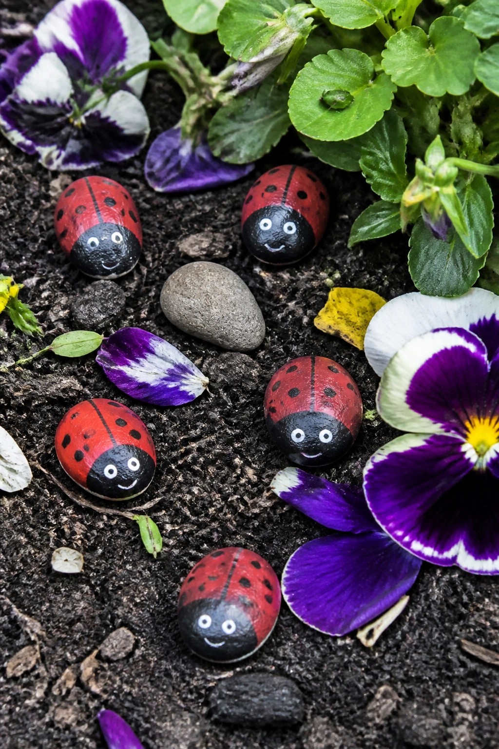 Five painted ladybug rocks on dark soil surrounded by purple and white flowers.