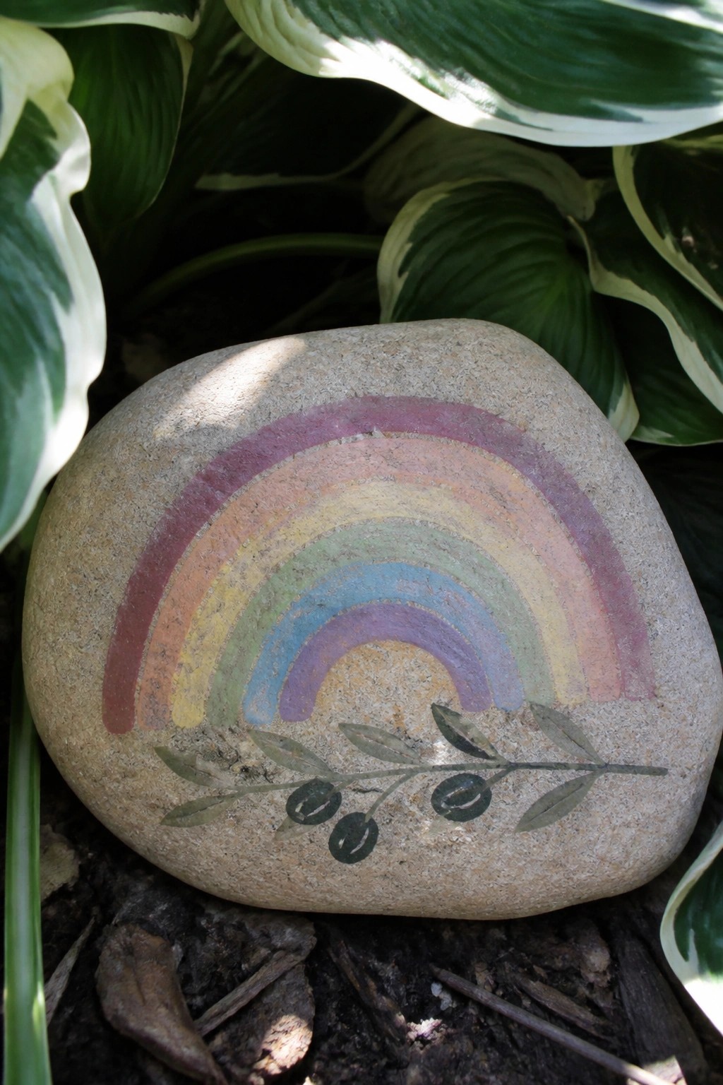 Stone painted with rainbow arch and olive branch among green hosta leaves