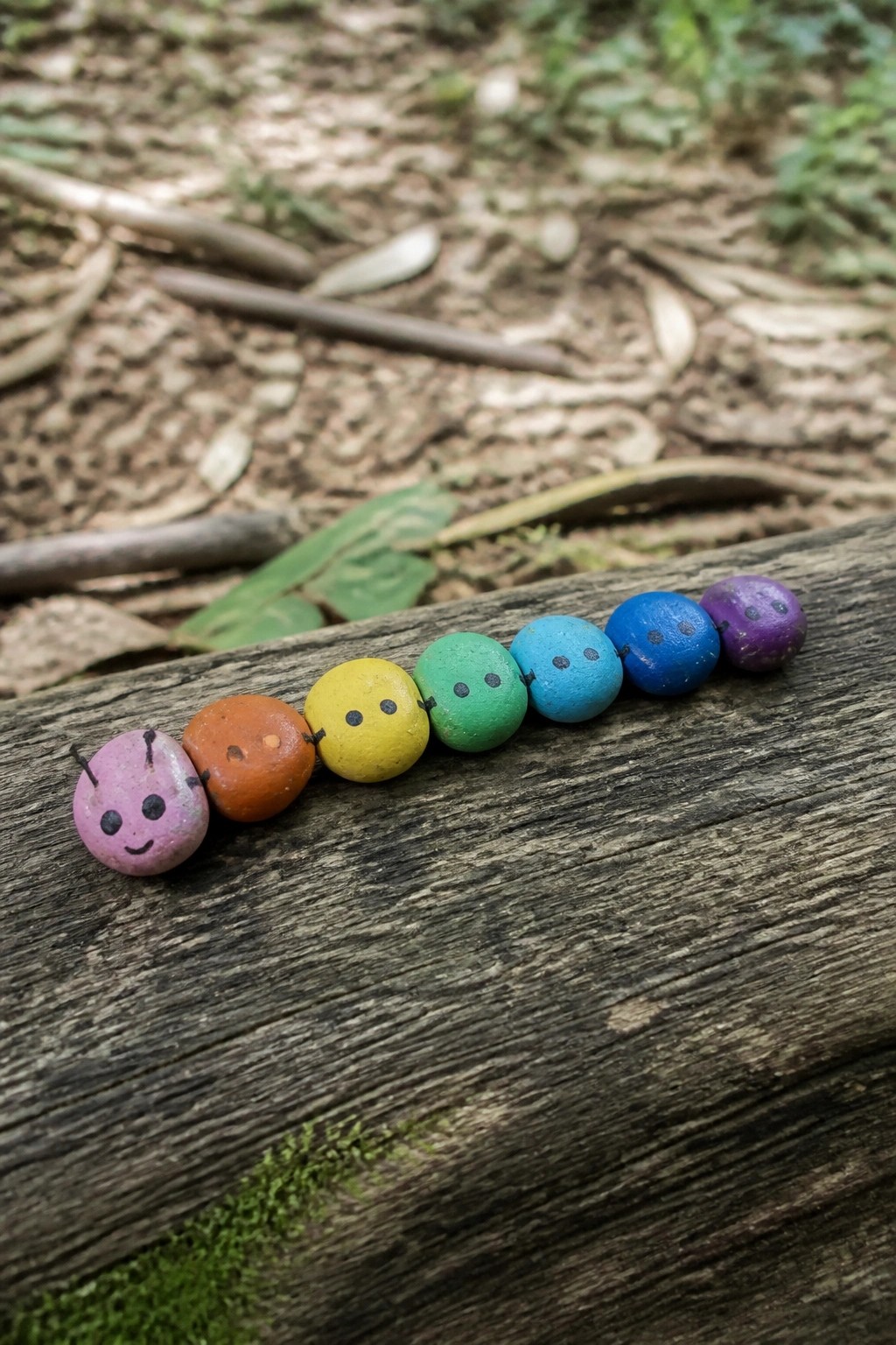 Rainbow painted pebble caterpillar with faces on weathered wooden log outdoors