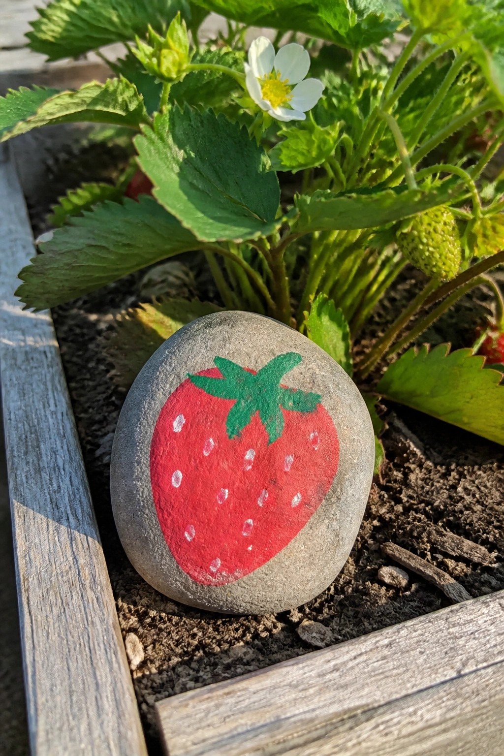 Painted gray rock with red strawberry and green leaves in garden soil