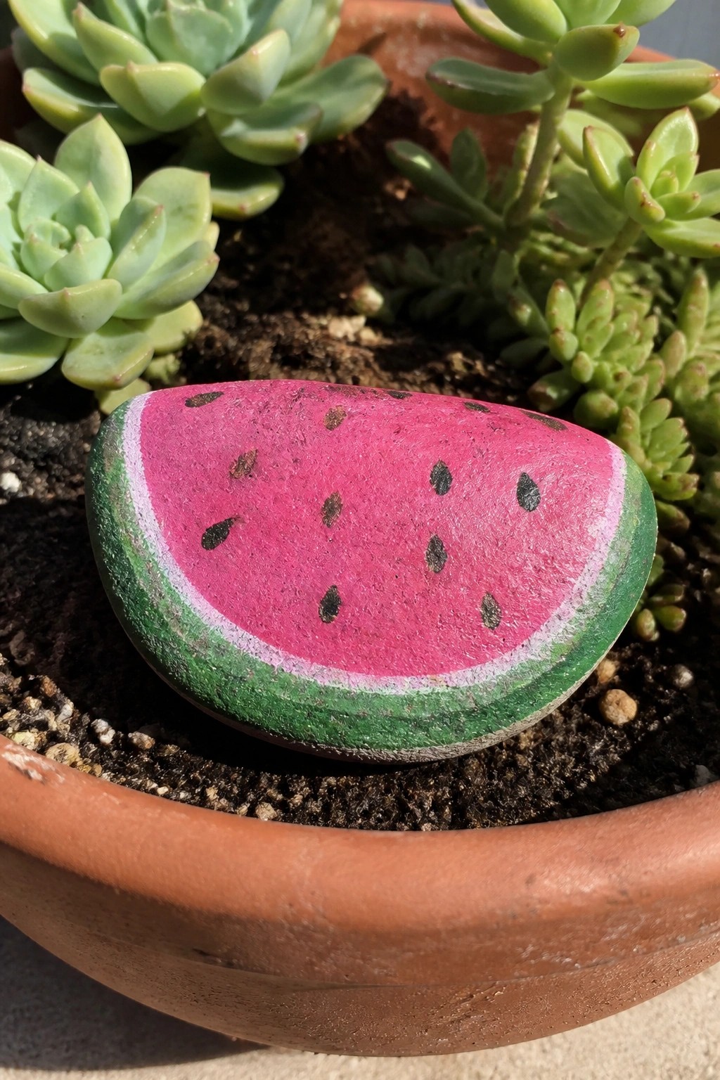 Painted watermelon rock with pink flesh and seeds among succulents in terracotta pot.