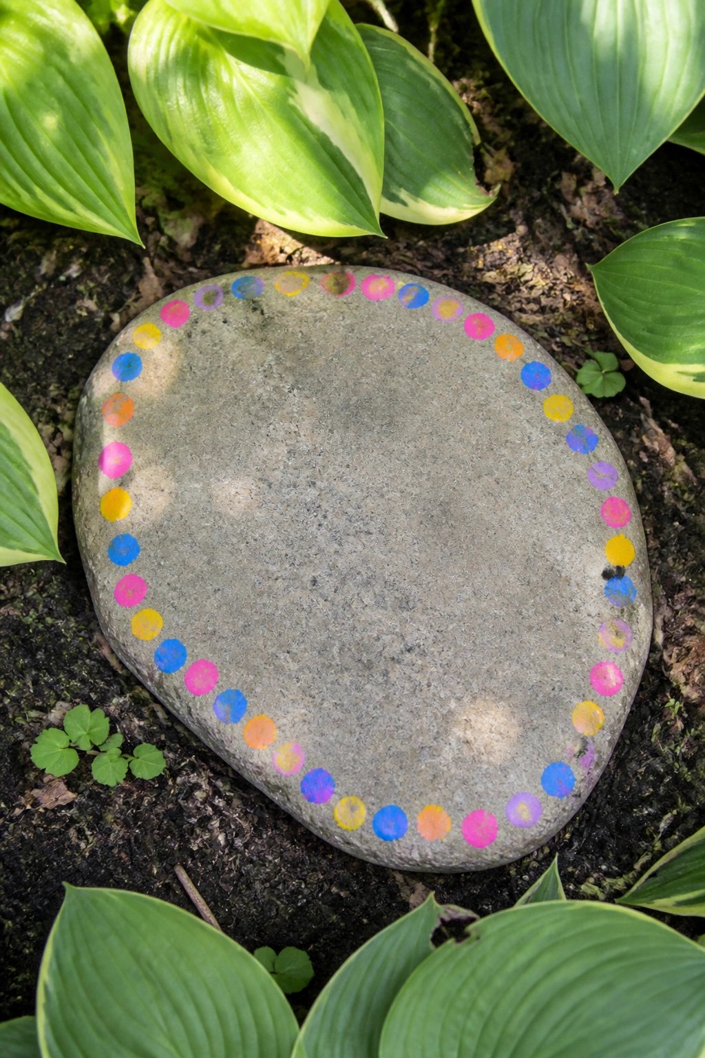Gray stone with colorful painted dots border amid green hosta leaves