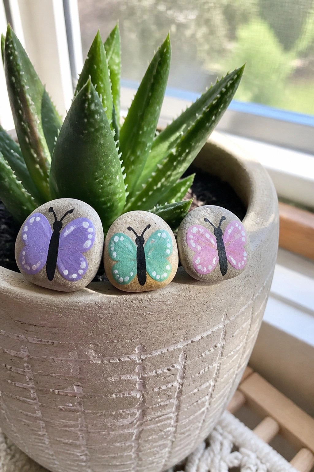 Three colorful butterfly-painted stones in aloe vera plant's gray pot