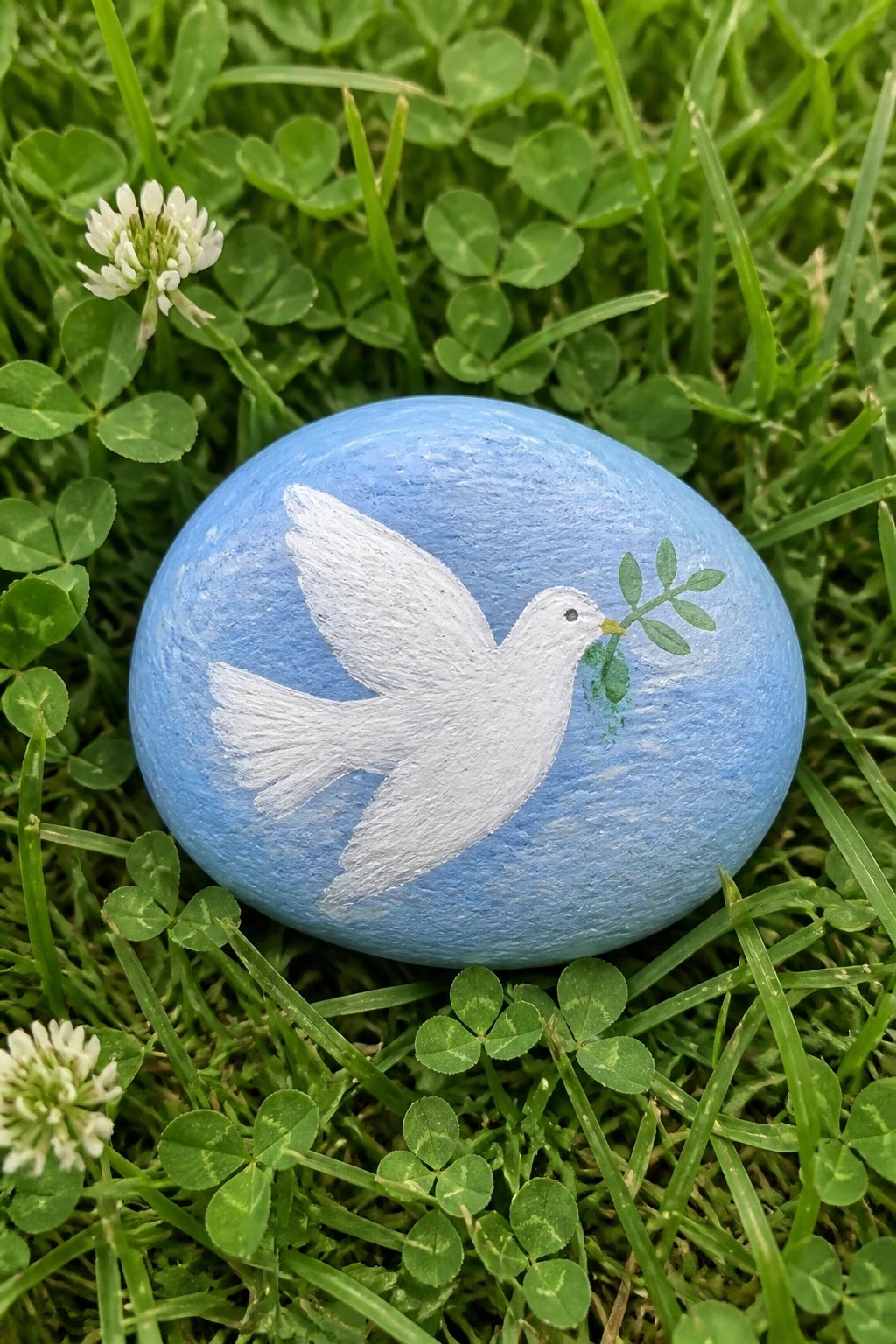 Blue painted rock with white dove carrying olive branch on green grass and clover