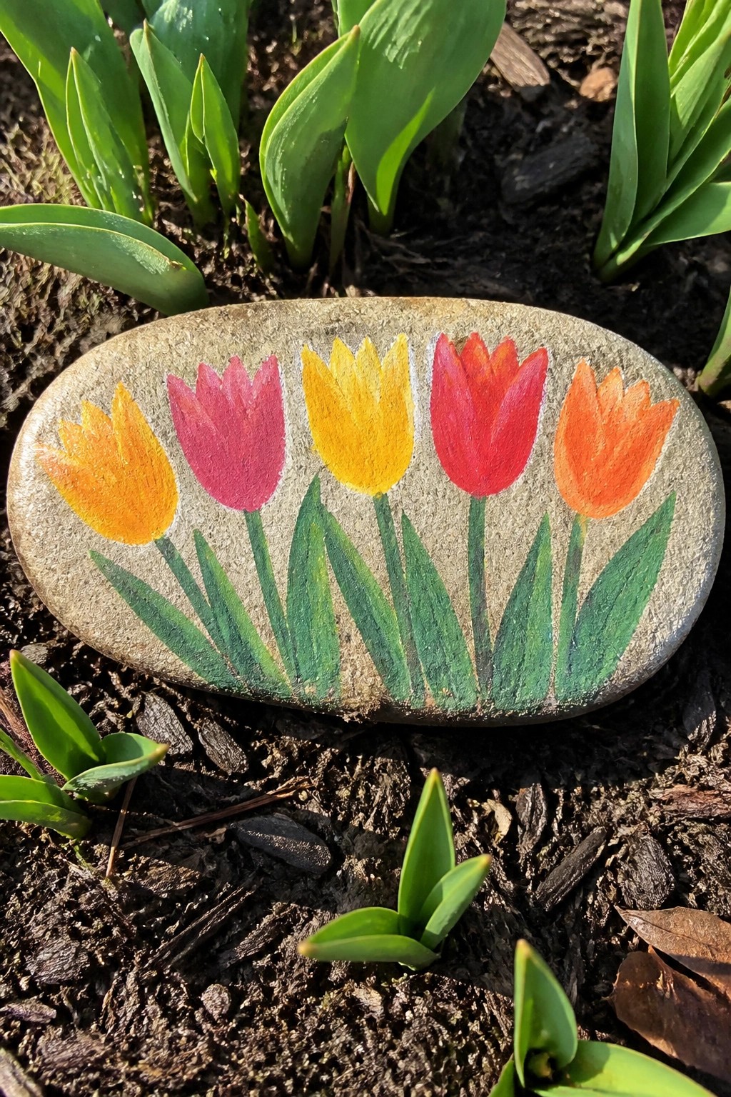 Painted oval rock with five colorful tulips and green leaves in garden soil