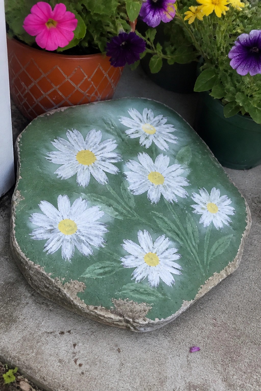 Painted rock with white daisies on green background beside potted flowers