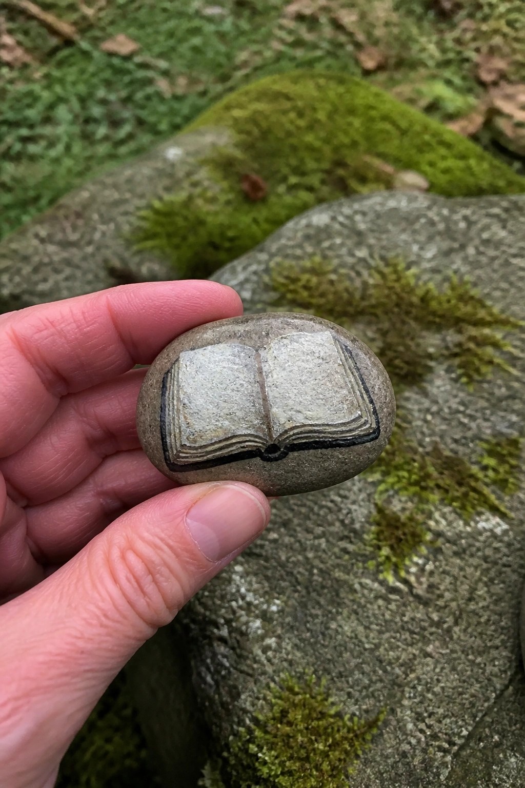 Hand holds gray stone painted with open book against mossy rocks.