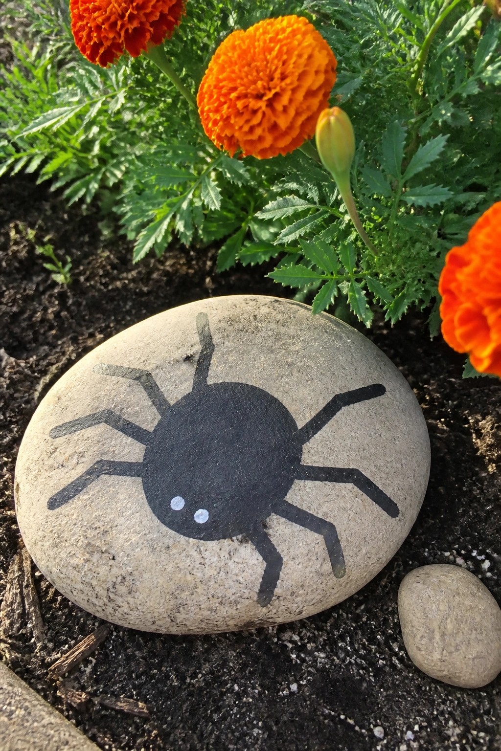 Painted gray rock with black spider near orange marigold flowers on soil