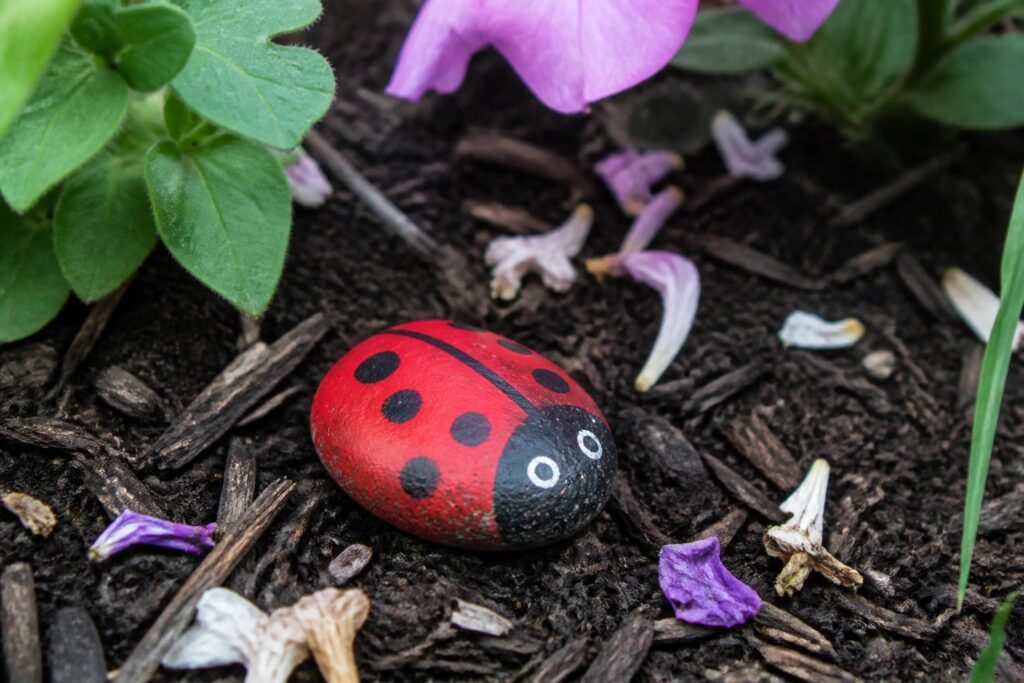 Red ladybug painted rock with black spots on soil amid plants and flowers
