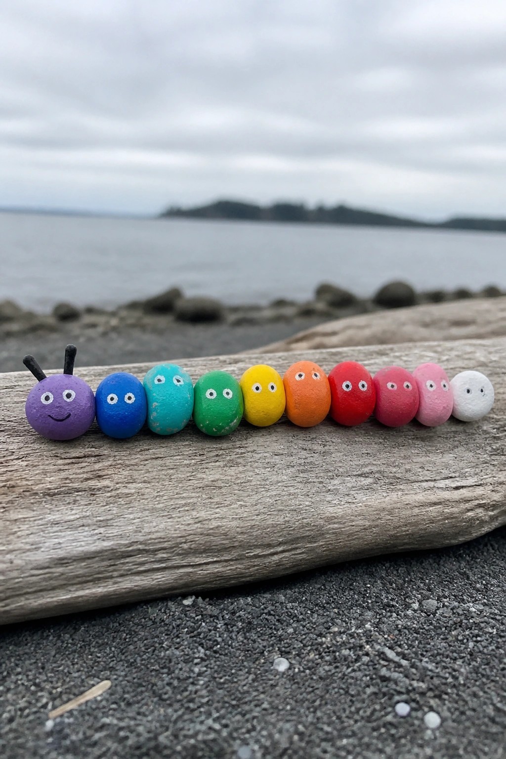Rainbow rock caterpillar with painted eyes on driftwood by foggy beach water
