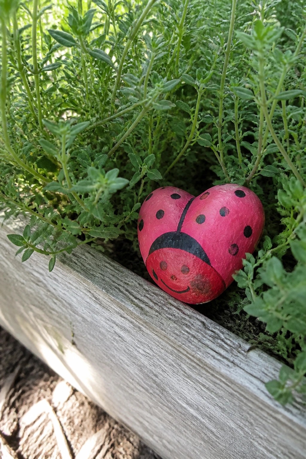 Red heart-shaped ladybug rock with black spots nestled in green plants by wood.