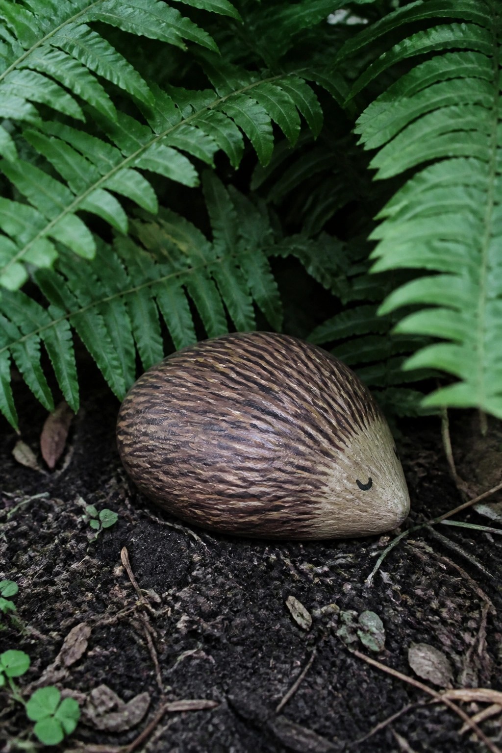 Striped brown seed with face resting on soil amid green ferns.