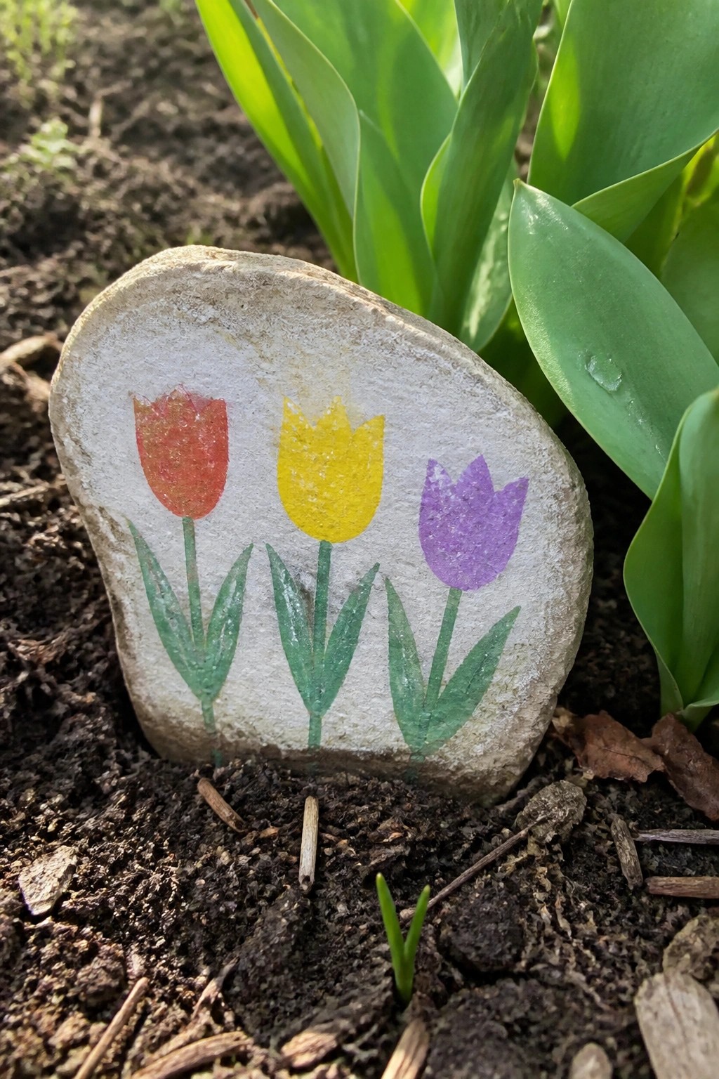 Painted rock with red, yellow, and purple tulips in garden soil
