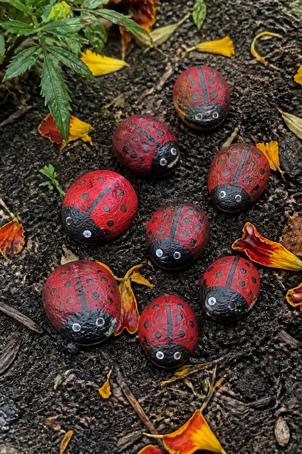 Several red ladybug rocks with black spots on soil amid colorful petals.