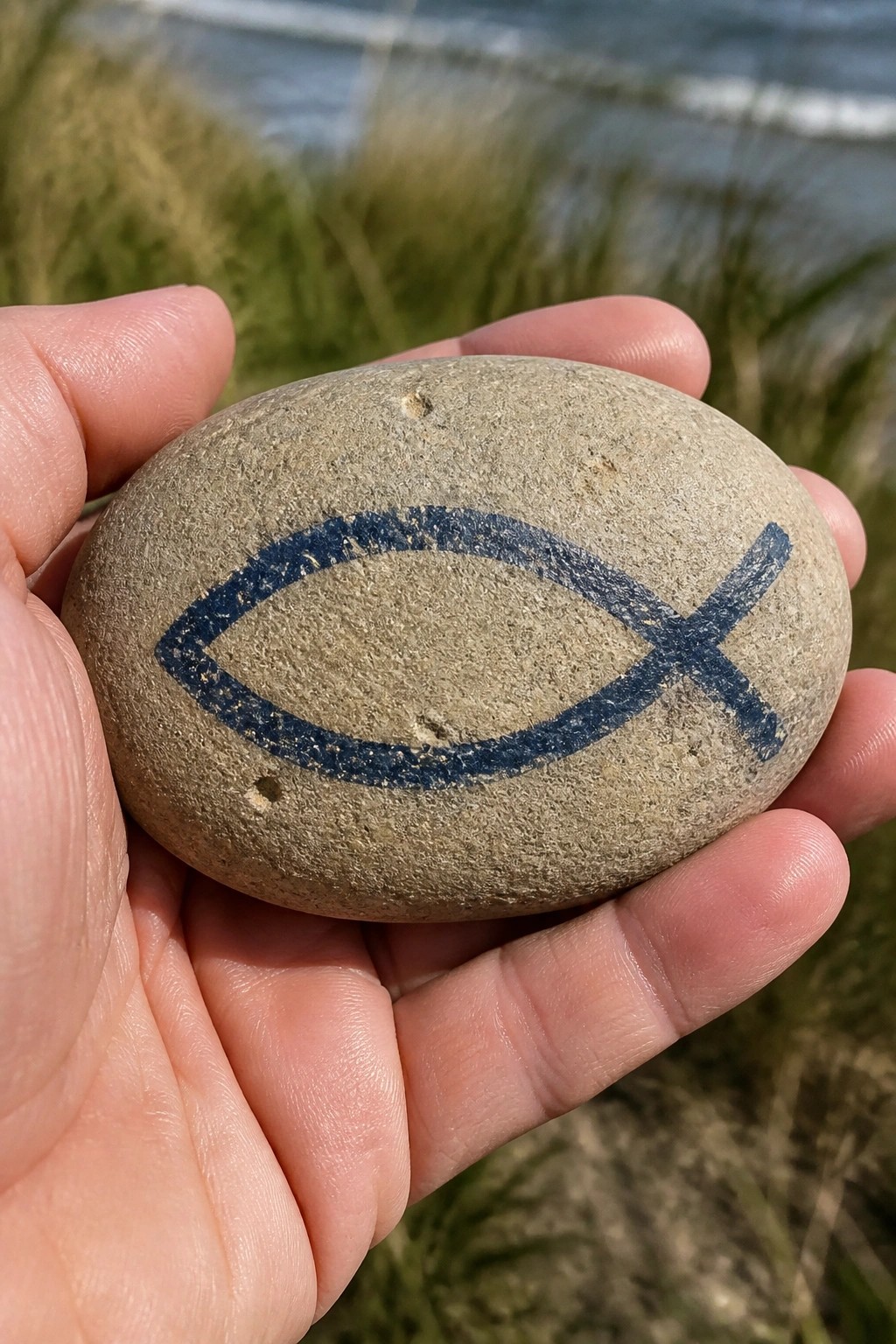 Hand holding smooth gray stone with blue fish symbol, beach and ocean behind.