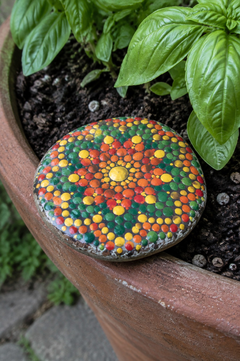 Colorful dotted painted stone in terracotta pot amid green basil leaves and soil