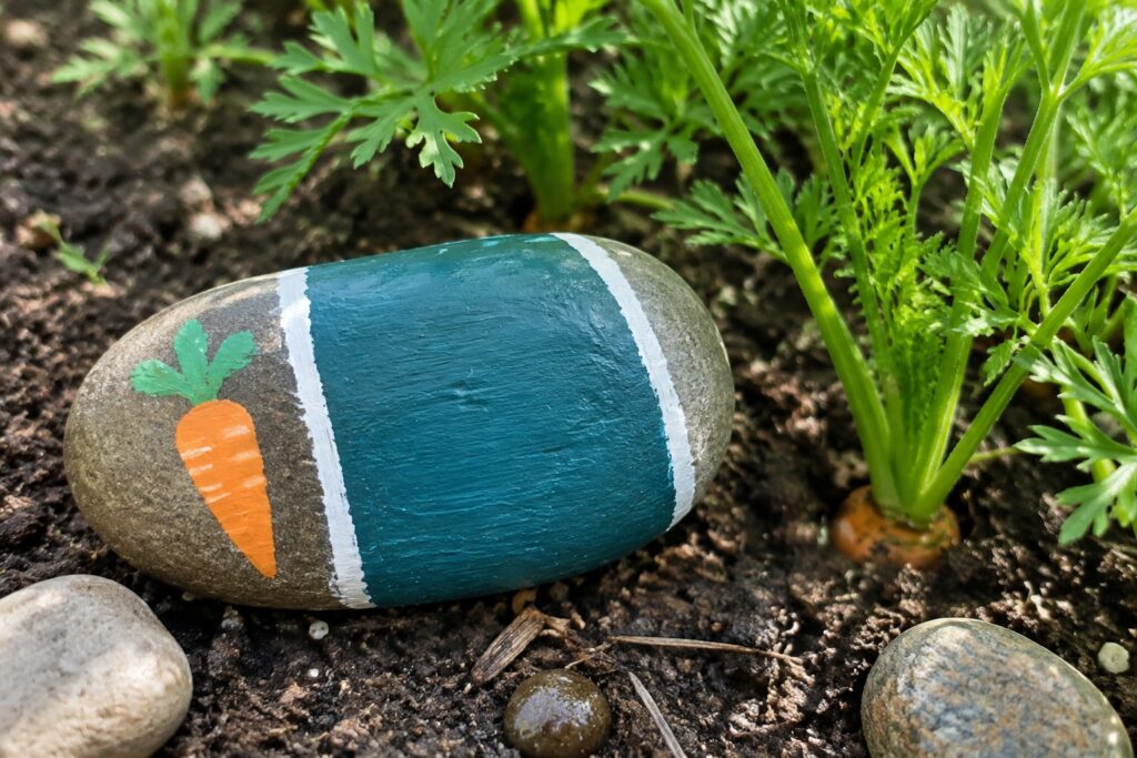18 Clever Garden Marker Rocks Using Bold Weather-Resistant Lettering Painted teal rock with carrot illustration in garden soil among carrot plants