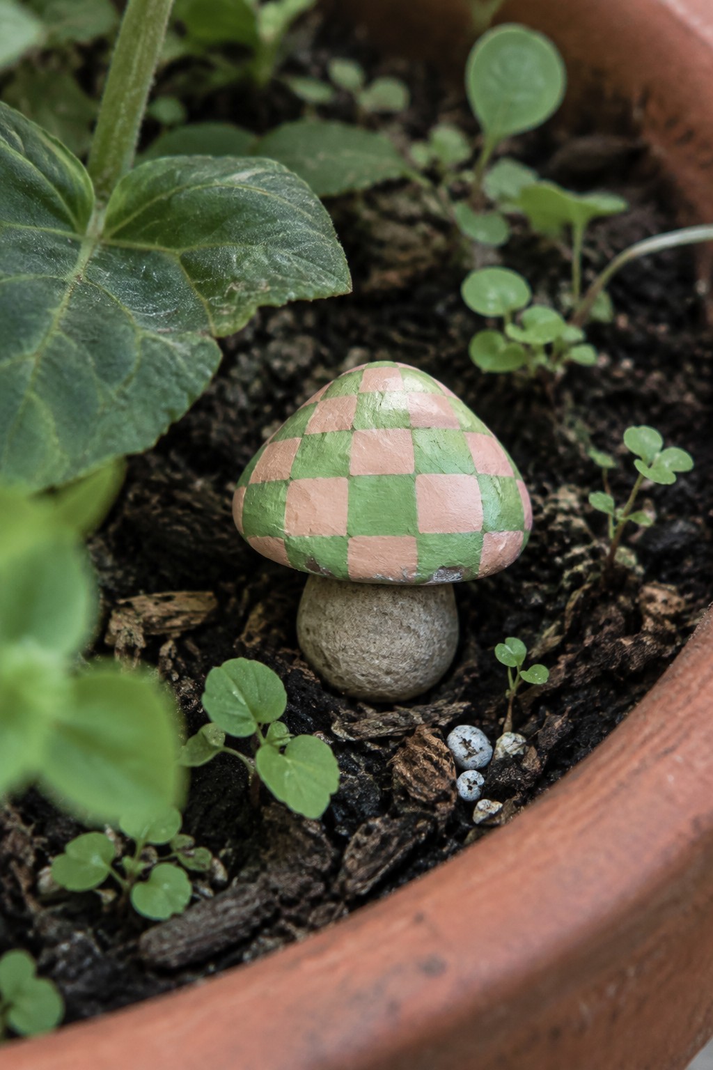 Green and peach checkered mushroom painted on stone among potted seedlings