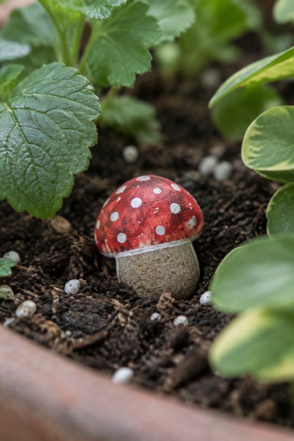 Red and white spotted mushroom painted on stone in soil with green leaves.