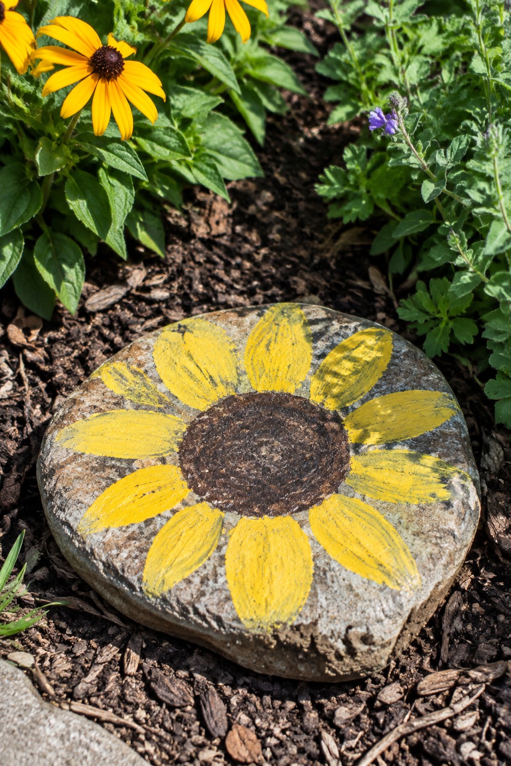 Painted gray rock with yellow sunflower design on garden soil amid flowers.