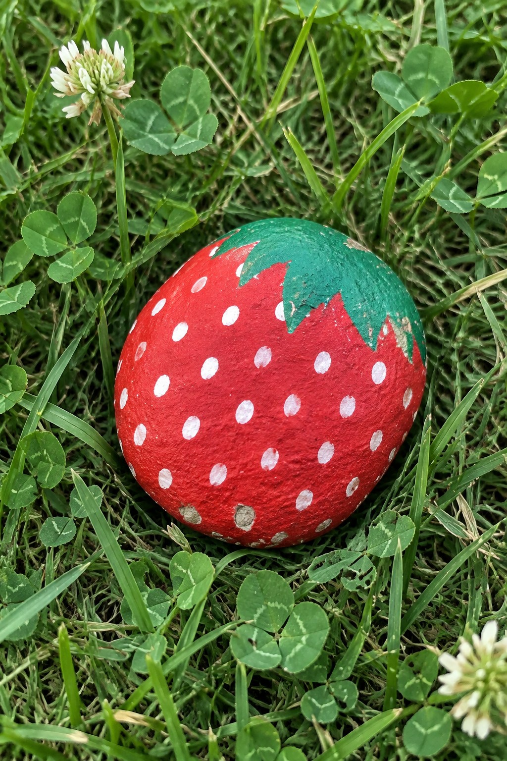 Painted red strawberry rock with white dots and green top on grass with clover