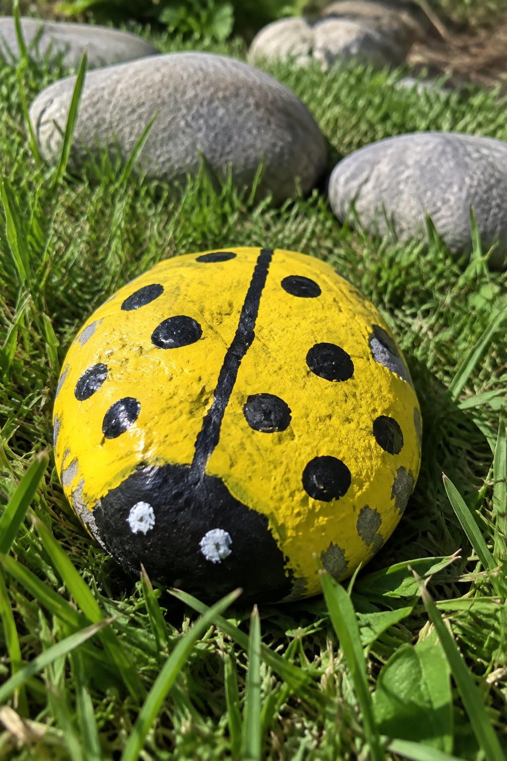 Yellow ladybug rock with black spots on green grass among stones.