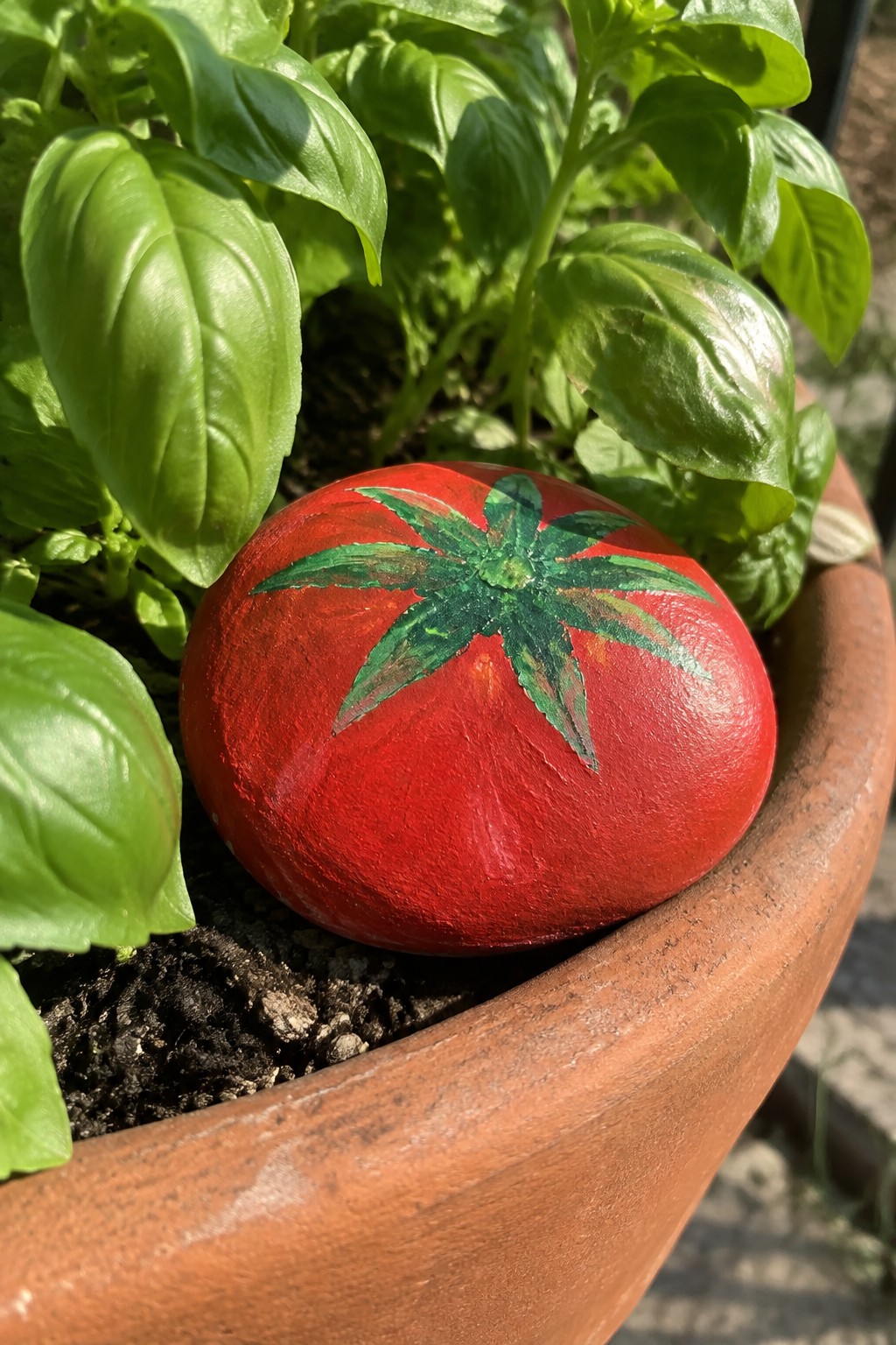 Red painted rock tomato with green leaves in terracotta pot among basil plants