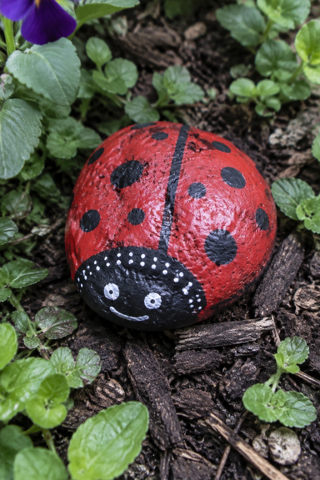 Red ladybug painted rock with black spots, smiling face on soil among plants