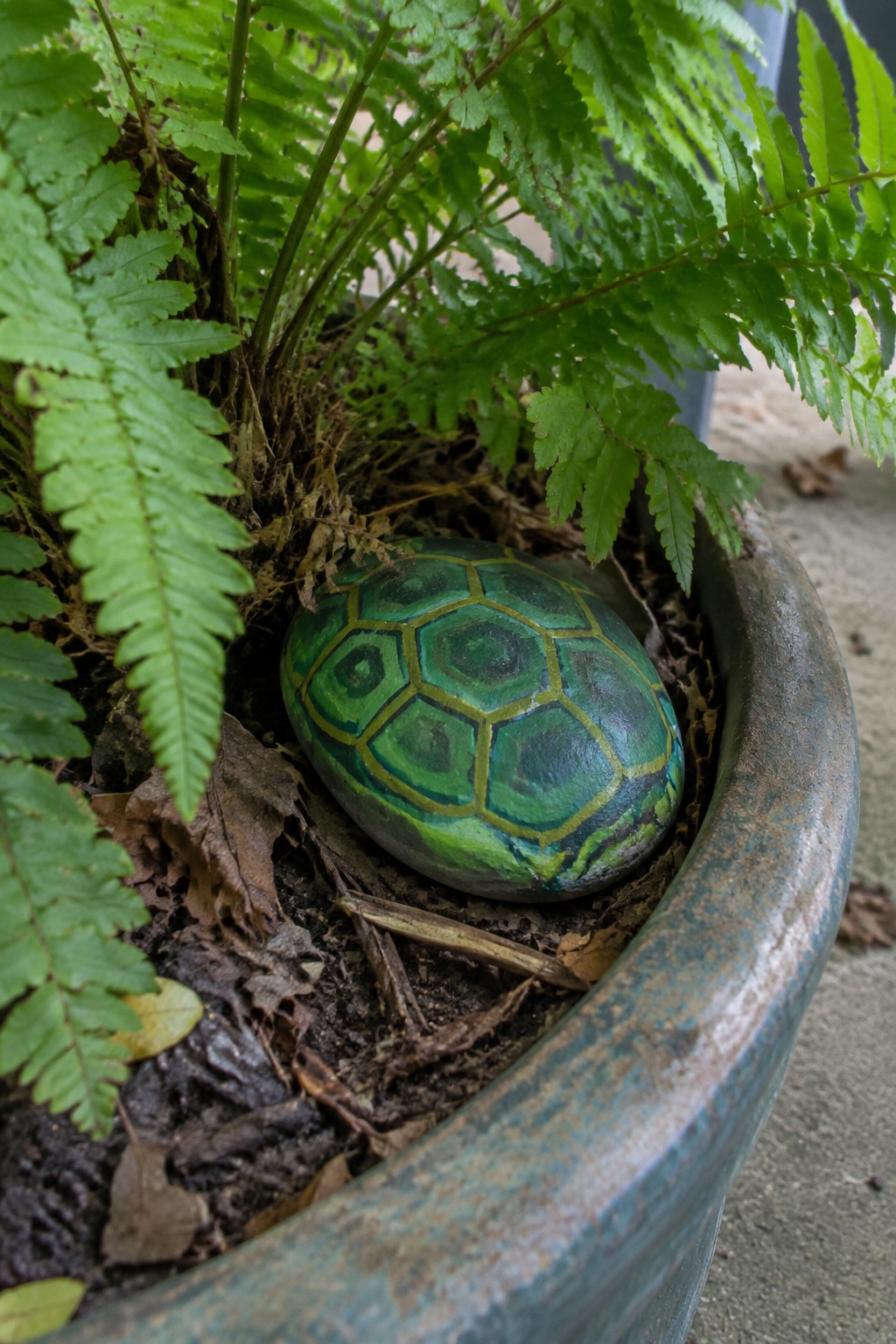 Green turtle shell patterned rock nestled among ferns in weathered blue pot