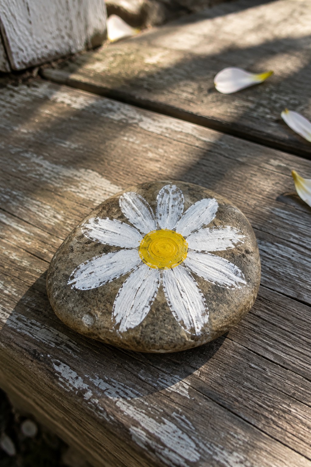 Painted stone with white daisy and yellow center on sunlit wooden planks with petals.