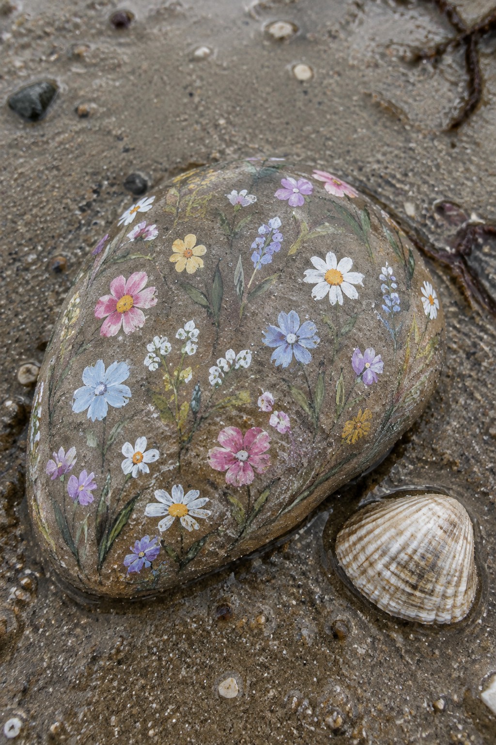 Flower-painted rock on wet sand beside a ridged seashell
